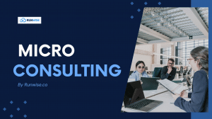 MicroConsulting-Runwise